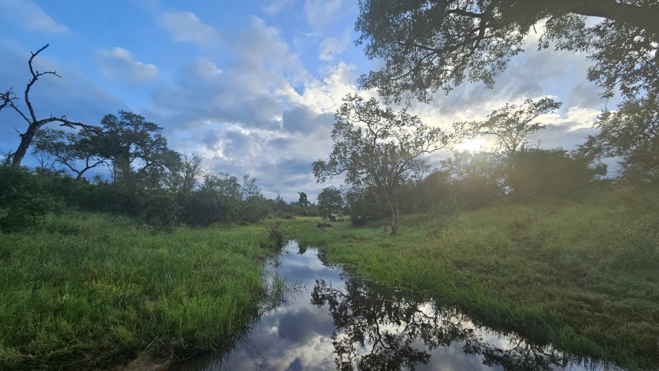 <h2>The Best of South Africa Escorted 2023</h2> 14 Nights | 6 Rounds | March 11 - 25